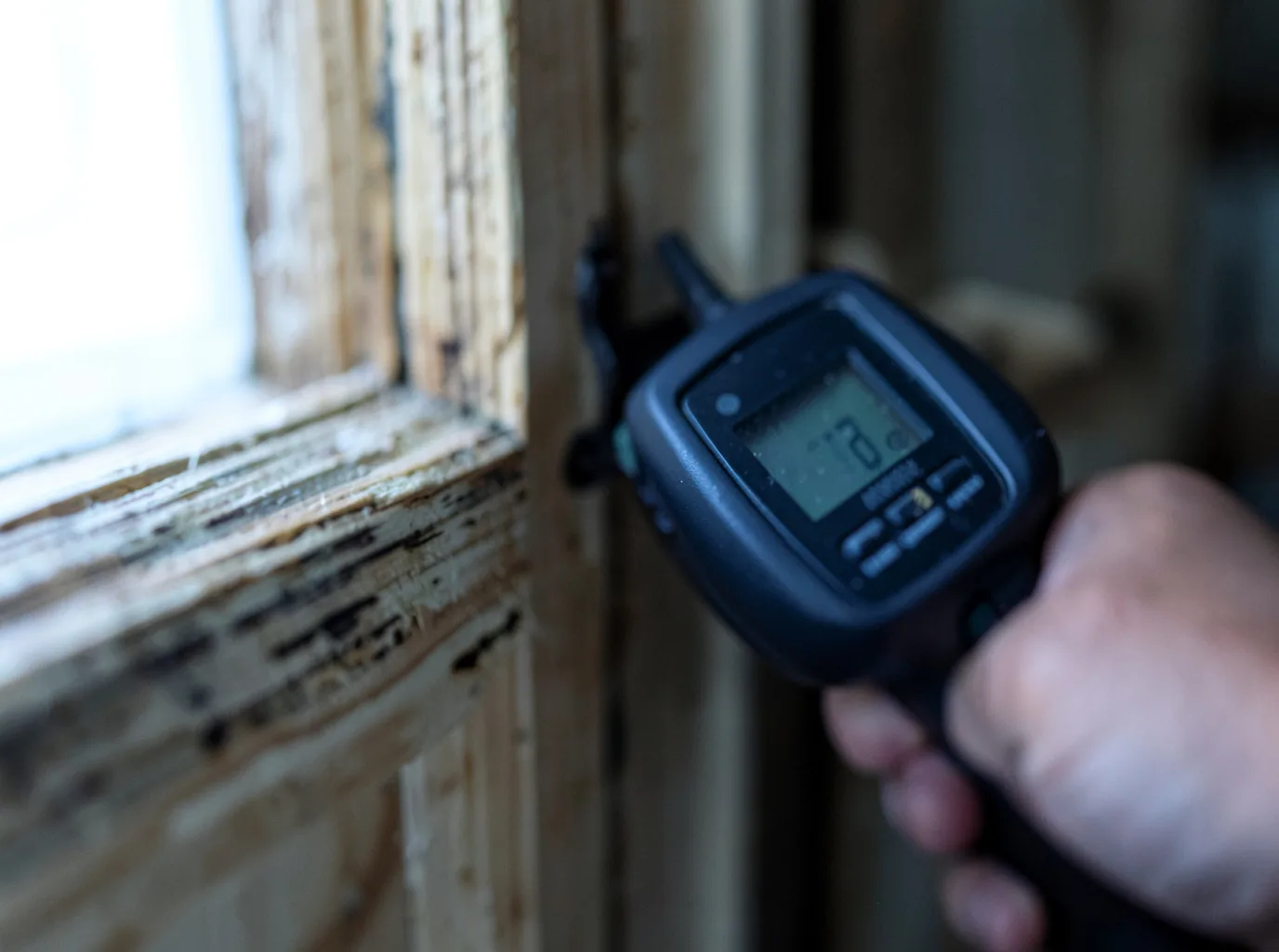 Moisture Inspection And Documentation in Colebrook, NH